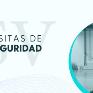 Visitas de Seguridad
